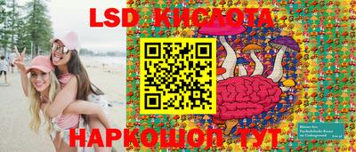 гидропоника Будённовск