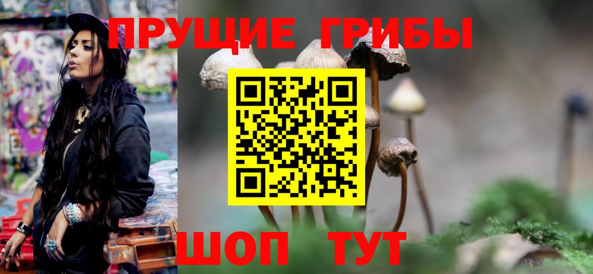 Псилоцибиновые грибы MAGIC MUSHROOMS  Вход с VPN  Биробиджан  Галлюциногенные грибы MAGIC MUSHROOMS 